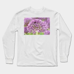 Allium stipitatum  &#39;Violet Beauty&#39; Long Sleeve T-Shirt